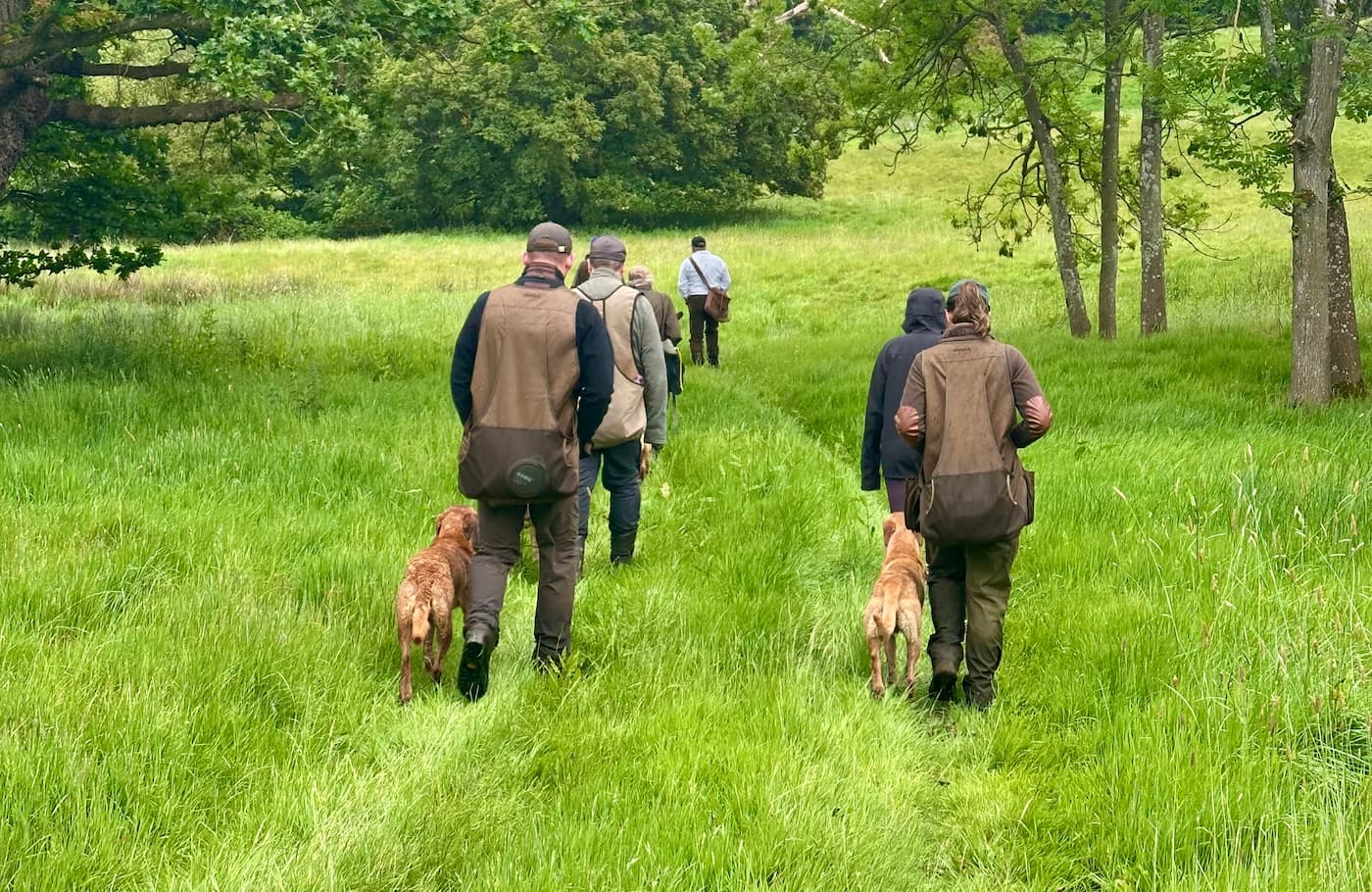 Beginner's Guide to the Kennel Club J Regulations for Working Tests